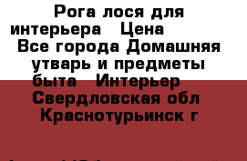 Рога лося для интерьера › Цена ­ 3 300 - Все города Домашняя утварь и предметы быта » Интерьер   . Свердловская обл.,Краснотурьинск г.